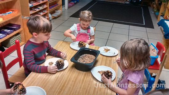 Making Bird Feeders