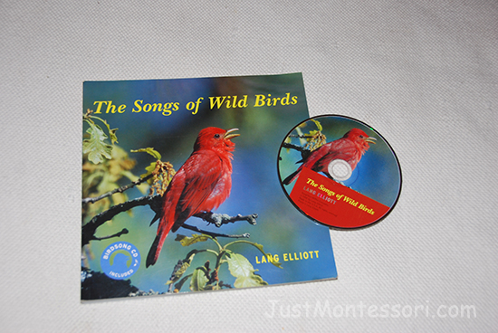 Bird Songs CD/Book