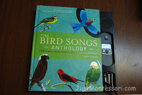 Bird Songs Book